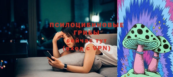 СК Алексеевка
