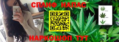 спиды Севастополь