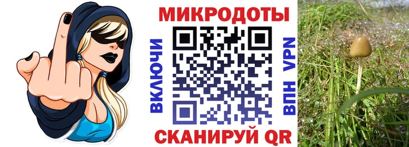 Галлюциногенные грибы MAGIC MUSHROOMS  Саянск 