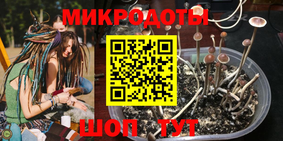 Галлюциногенные грибы GOLDEN TEACHER Саянск